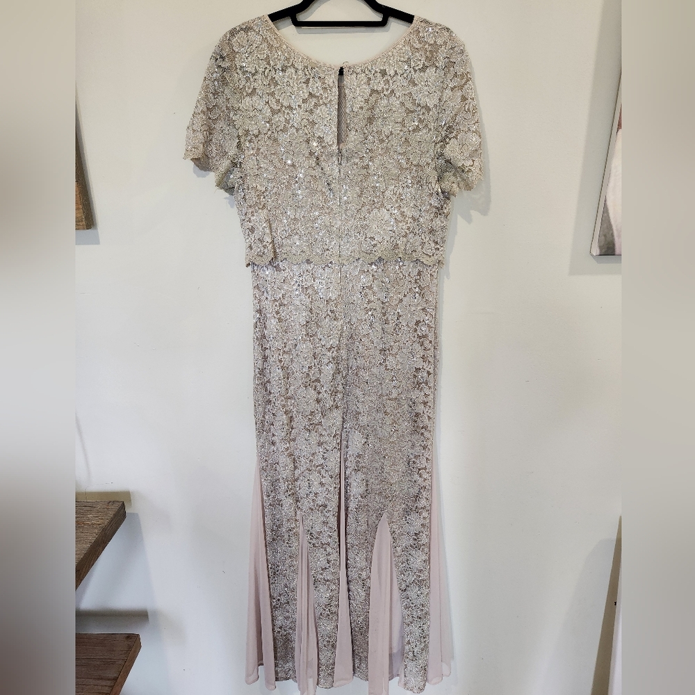 R&M Richards Blush Lace Gown With Sequins - Picture 6 of 8